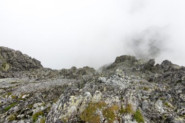 bulutlar ve sis kaplı kayalık dağ manzarası