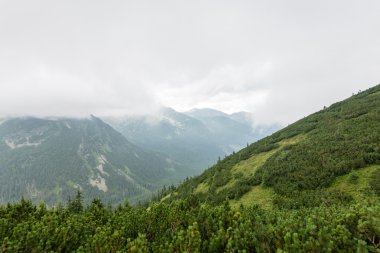 bulutlar ve sis kaplı yeşil dağ manzarası