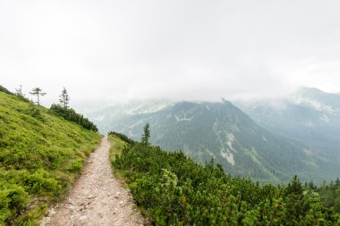 bulutlar ve sis kaplı yeşil dağ manzarası
