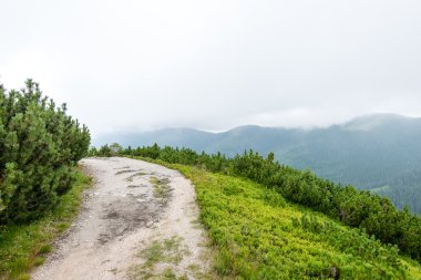 bulutlar ve sis kaplı yeşil dağ manzarası