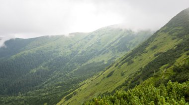 bulutlar ve sis kaplı yeşil dağ manzarası