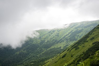 bulutlar ve sis kaplı yeşil dağ manzarası