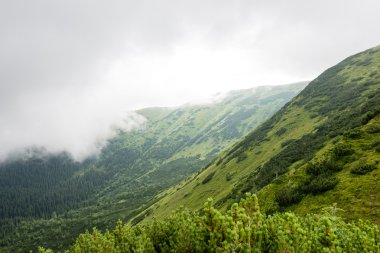 bulutlar ve sis kaplı yeşil dağ manzarası