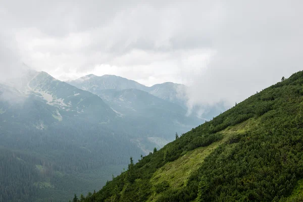 Paesaggio verde di montagna coperto di nuvole — Foto Stock