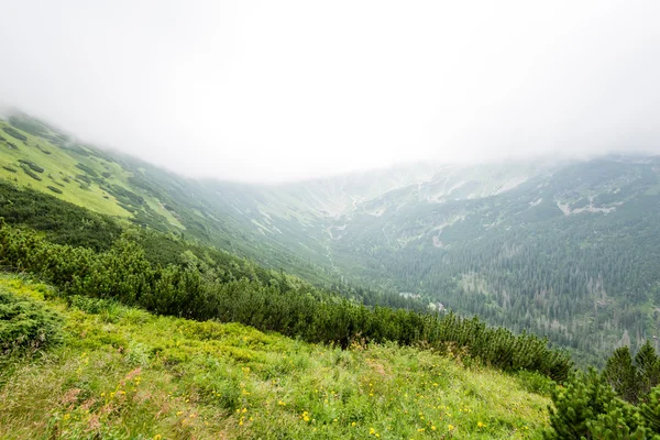 Зелений гірський пейзаж вкритий хмарами — стокове фото
