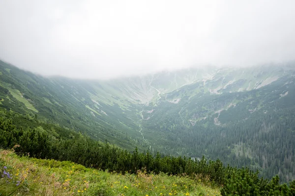 bulutlar ve sis kaplı yeşil dağ manzarası