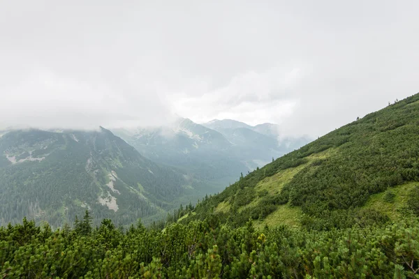 Paysage de montagne vert couvert de nuages — Photo