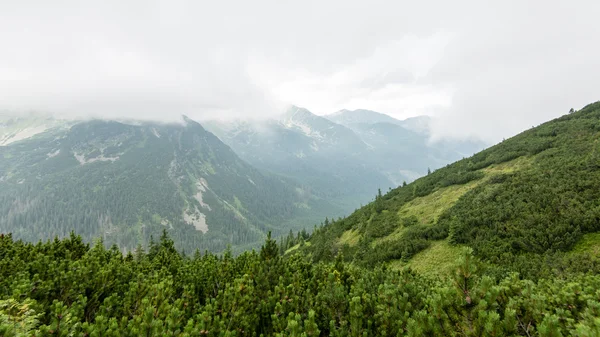 Zielona góra krajobraz pokryte chmurami — Zdjęcie stockowe