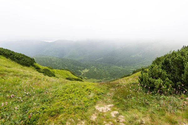 Grüne Berglandschaft mit Wolken bedeckt — Stockfoto