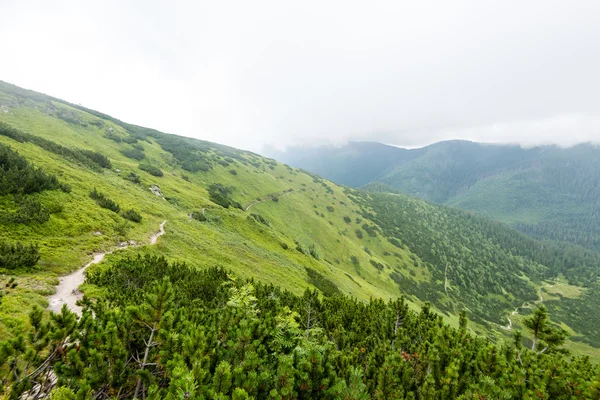 Зелений гірський пейзаж вкритий хмарами — стокове фото