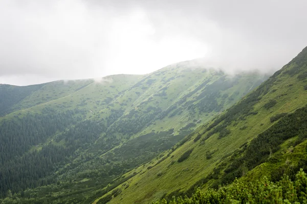 Πράσινο ορεινό τοπίο που καλύπτεται με σύννεφα — Φωτογραφία Αρχείου