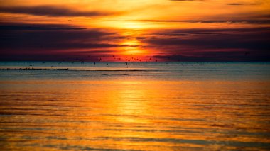 Güzel deniz manzarası günbatımı Baltık Denizi üzerinde