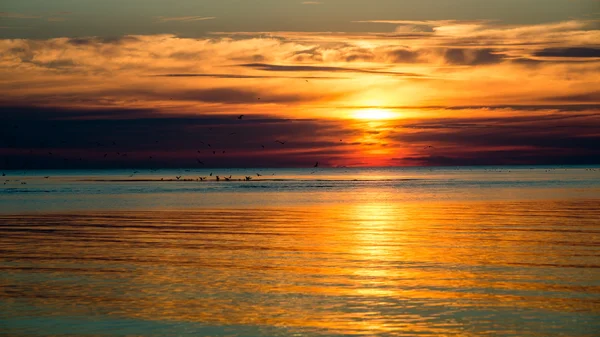 Seascape piękny zachód słońca nad Morzem Bałtyckim — Zdjęcie stockowe