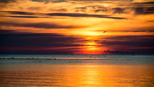 美しい海の夕日バルト海 — ストック写真