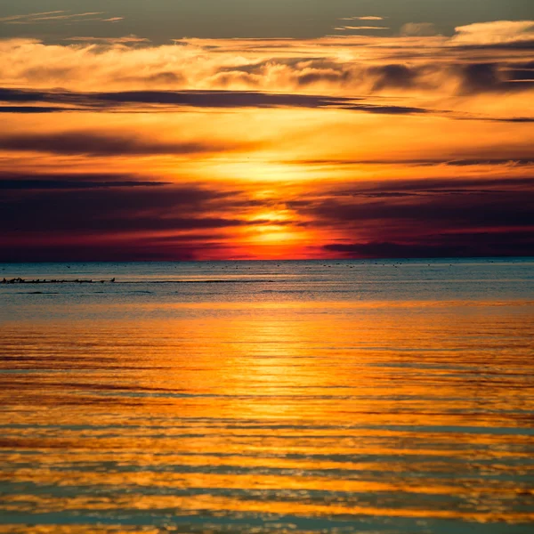 Beautiful seascape sunset over the Baltic sea — Stock Photo, Image