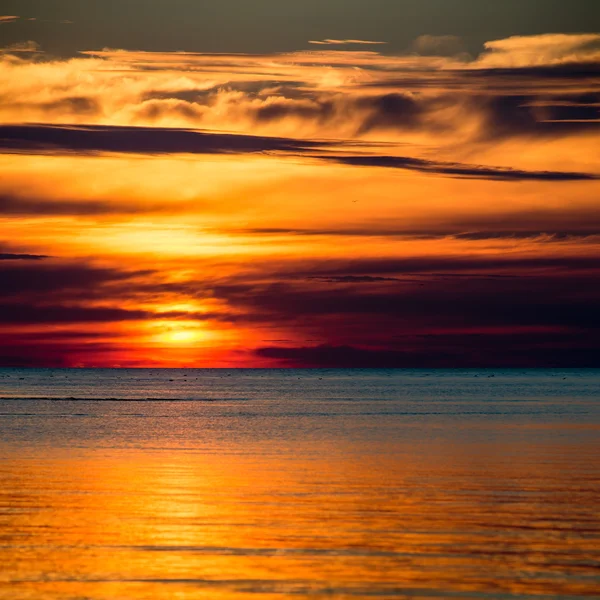 Beautiful seascape sunset over the Baltic sea — Stock Photo, Image