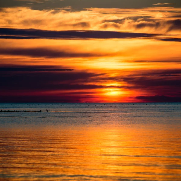 Seascape piękny zachód słońca nad Morzem Bałtyckim — Zdjęcie stockowe