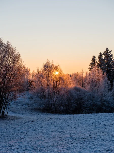 Prachtig zeegezicht zonsopgang boven het platteland in de winter — Stockfoto