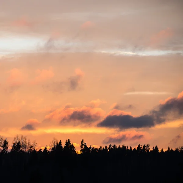 Krásná krajina východ slunce nad krajinou — Stock fotografie