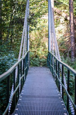 Ormandaki eski köprü