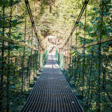 Ormandaki eski köprü