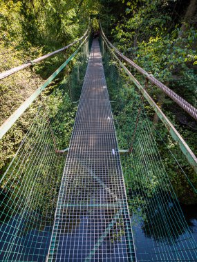 Ormandaki eski köprü