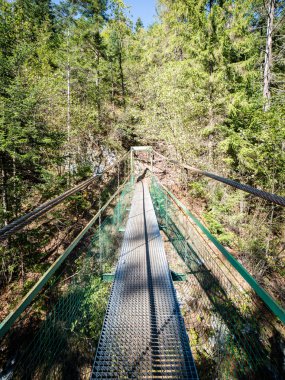 Ormandaki eski köprü