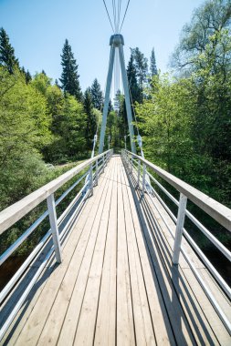 Ormandaki eski köprü