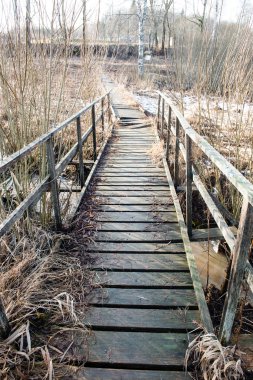 Ormandaki eski köprü