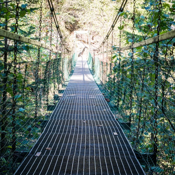 Старый мост в лесу — стоковое фото