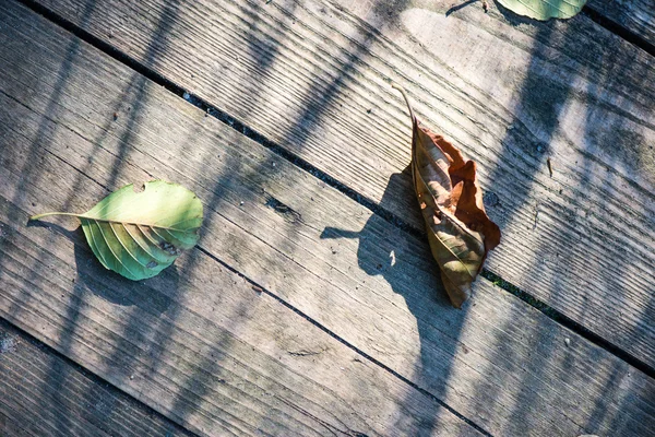 Dry leaves on old wooden planks — Stock Photo, Image