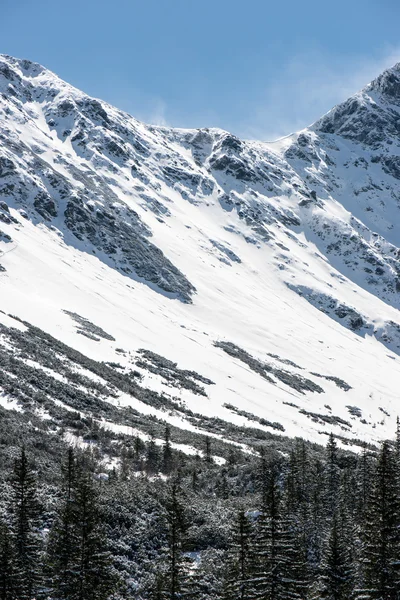 Montagnes Tatra en Slovaquie recouvertes de neige — Photo