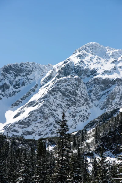 Montañas Tatra en Eslovaquia cubiertas de nieve — Foto de Stock