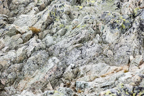 슬로바키아에서 tatra 산맥 구름으로 덮여 — 스톡 사진