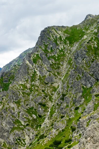 Tatrabergen i Slovakien täckt med moln — Stockfoto