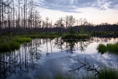 Göl su yansımalar gündoğumu