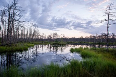 Göl su yansımalar gündoğumu