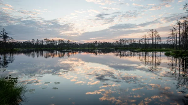 Reflecties in de meerwater bij zonsopgang — Stockfoto