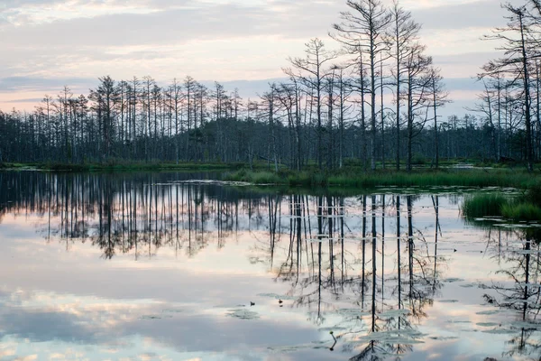 Reflecties in de meerwater bij zonsopgang — Stockfoto