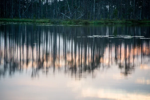 Riflessi astratti degli alberi nell'acqua — Foto Stock