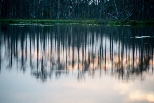 Reflexões abstratas das árvores na água — Fotografia de Stock