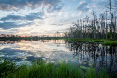 Göl su yansımalar gündoğumu