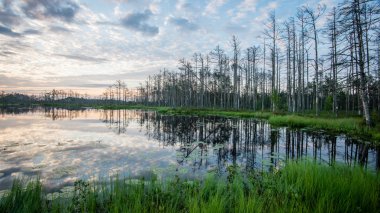 Göl su yansımalar gündoğumu