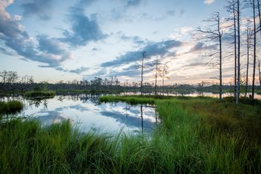 Göl su yansımalar gündoğumu