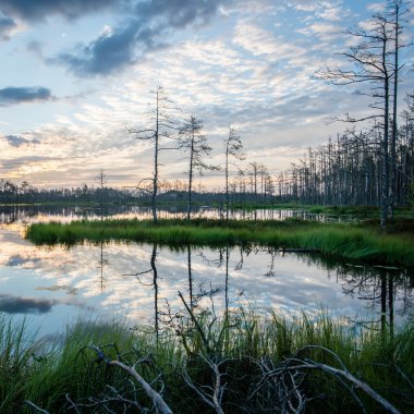 Göl su yansımalar gündoğumu