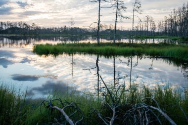 Göl su yansımalar gündoğumu