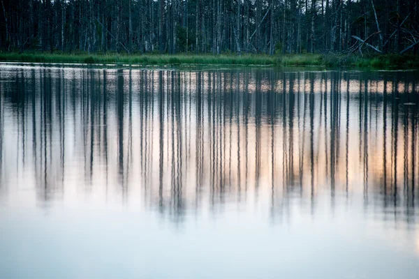 Abstract reflections of the trees in the water — Stock Photo, Image