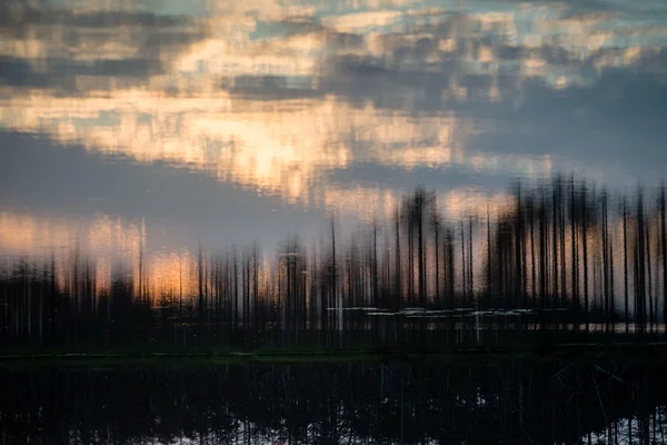 Абстрактные отражения деревьев в воде — стоковое фото