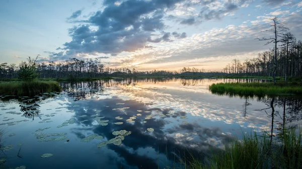 Отражения в озерной воде на восходе солнца — стоковое фото
