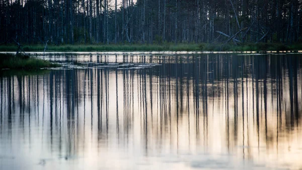 Reflets abstraits des arbres dans l'eau — Photo